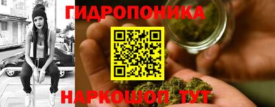 мяу мяу мука Краснознаменск