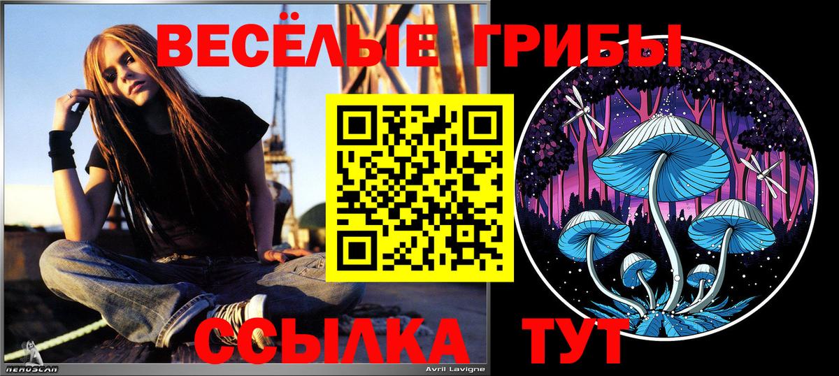 Екатеринбург  Галлюциногенные грибы ЛСД  Вход с VPN 