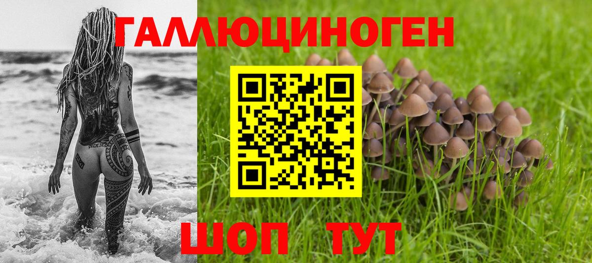 Галлюциногенные грибы мухоморы Екатеринбург